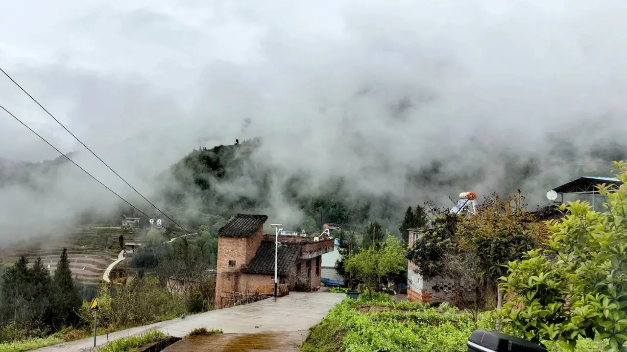 这个时节，回农村老家一趟，是什么感觉？