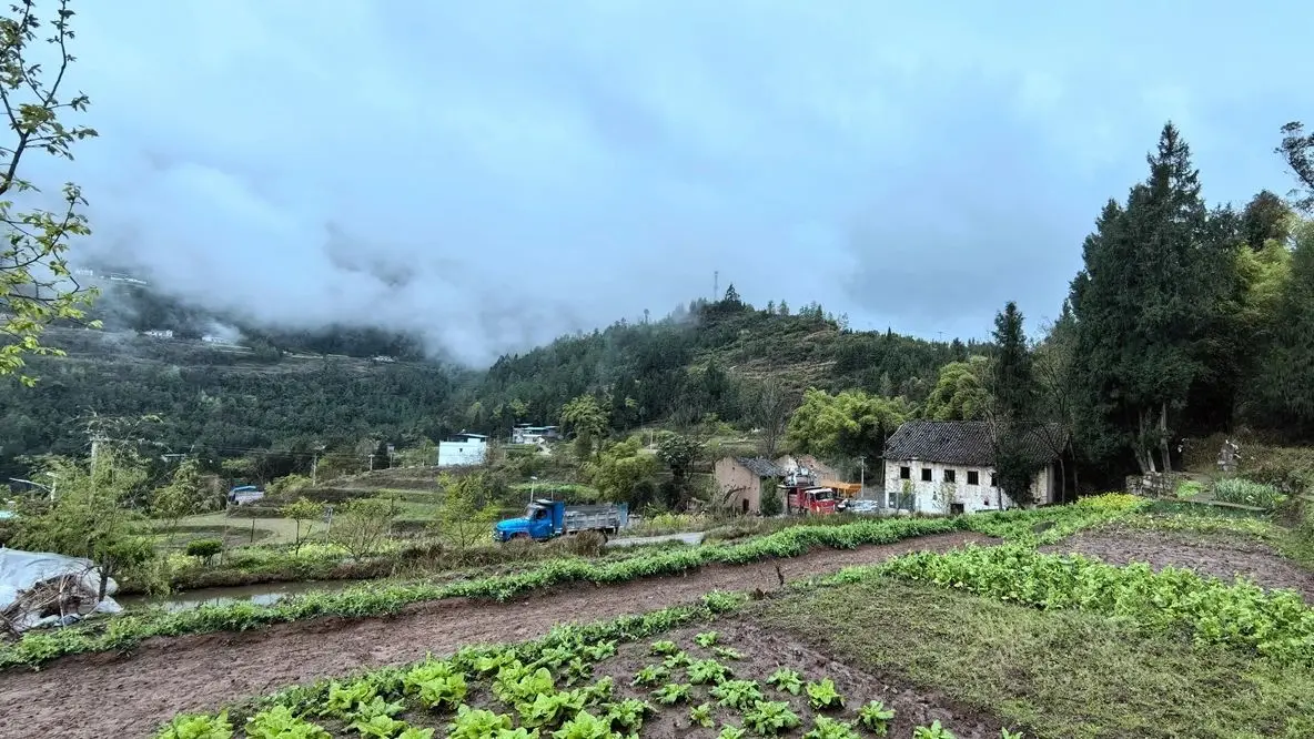 这个时节，回农村老家一趟，是什么感觉？