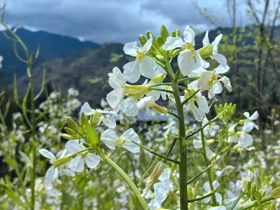 这个时节，回农村老家一趟，是什么感觉？