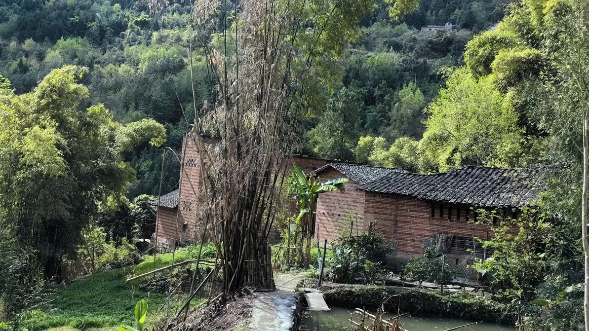 这个时节，回农村老家一趟，是什么感觉？