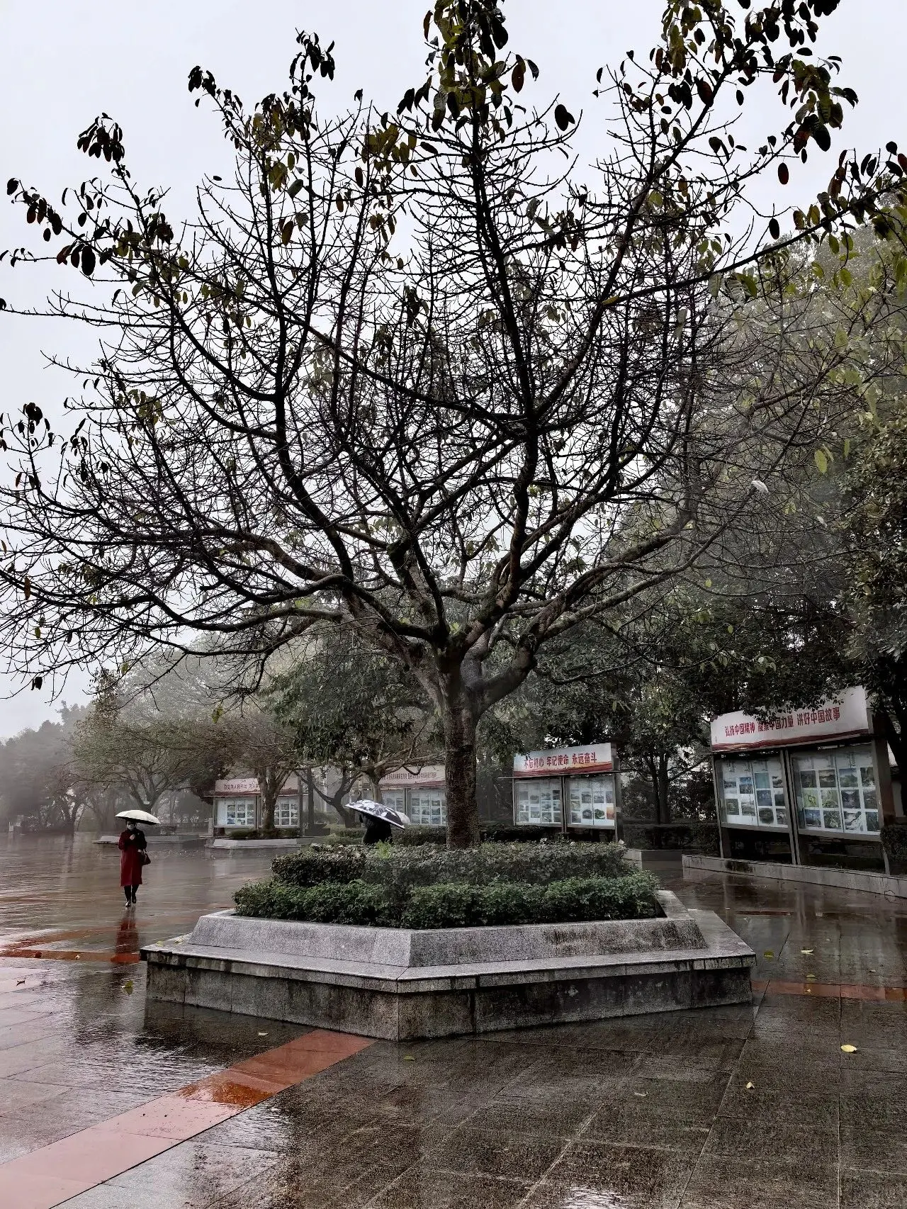 云阳，烟雨朦胧处，岁月静好！