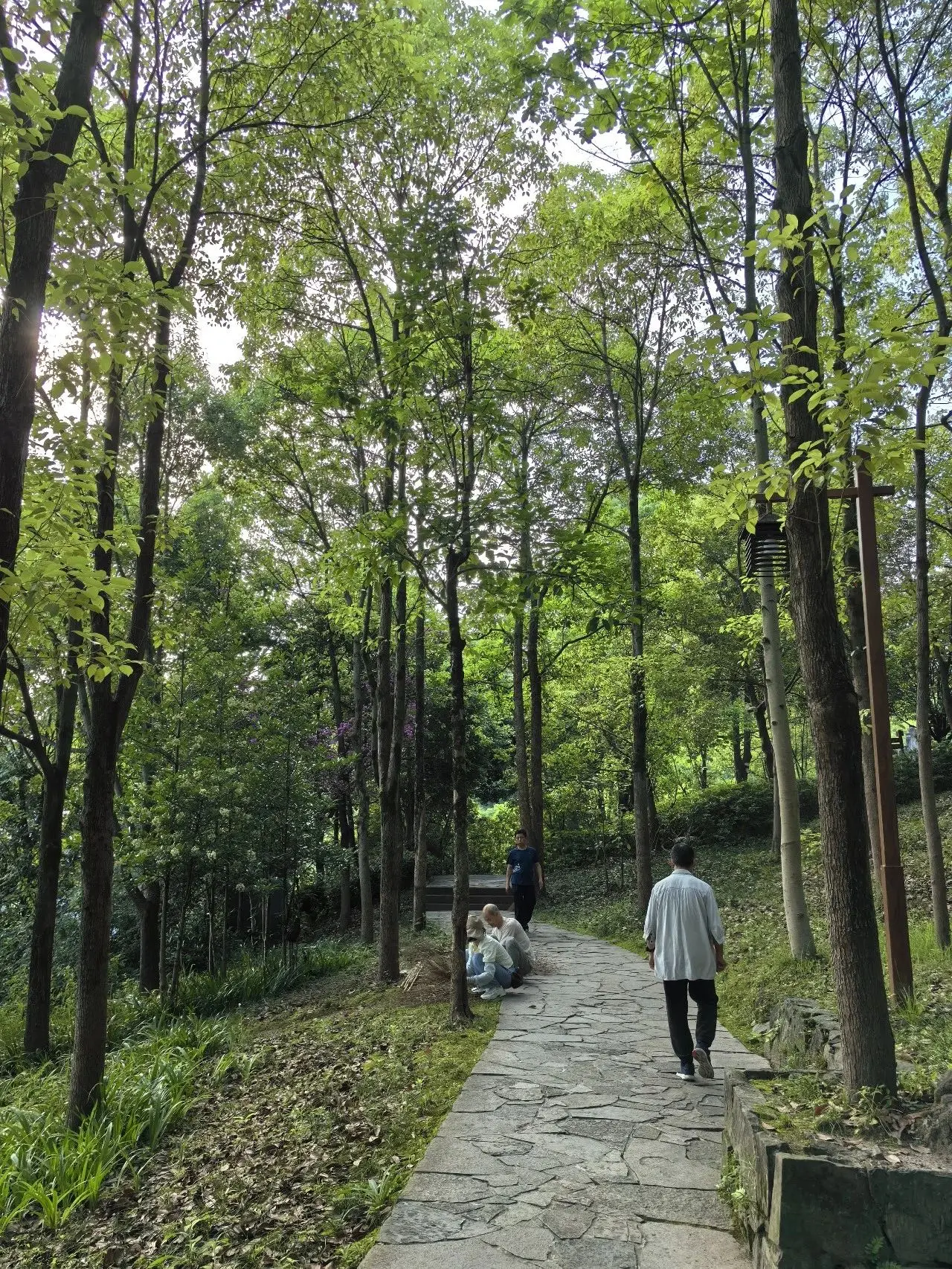 云阳的5月，是可以治愈一切的好时光→