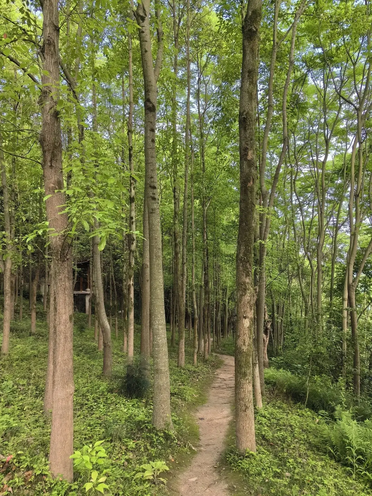 云阳的5月，是可以治愈一切的好时光→
