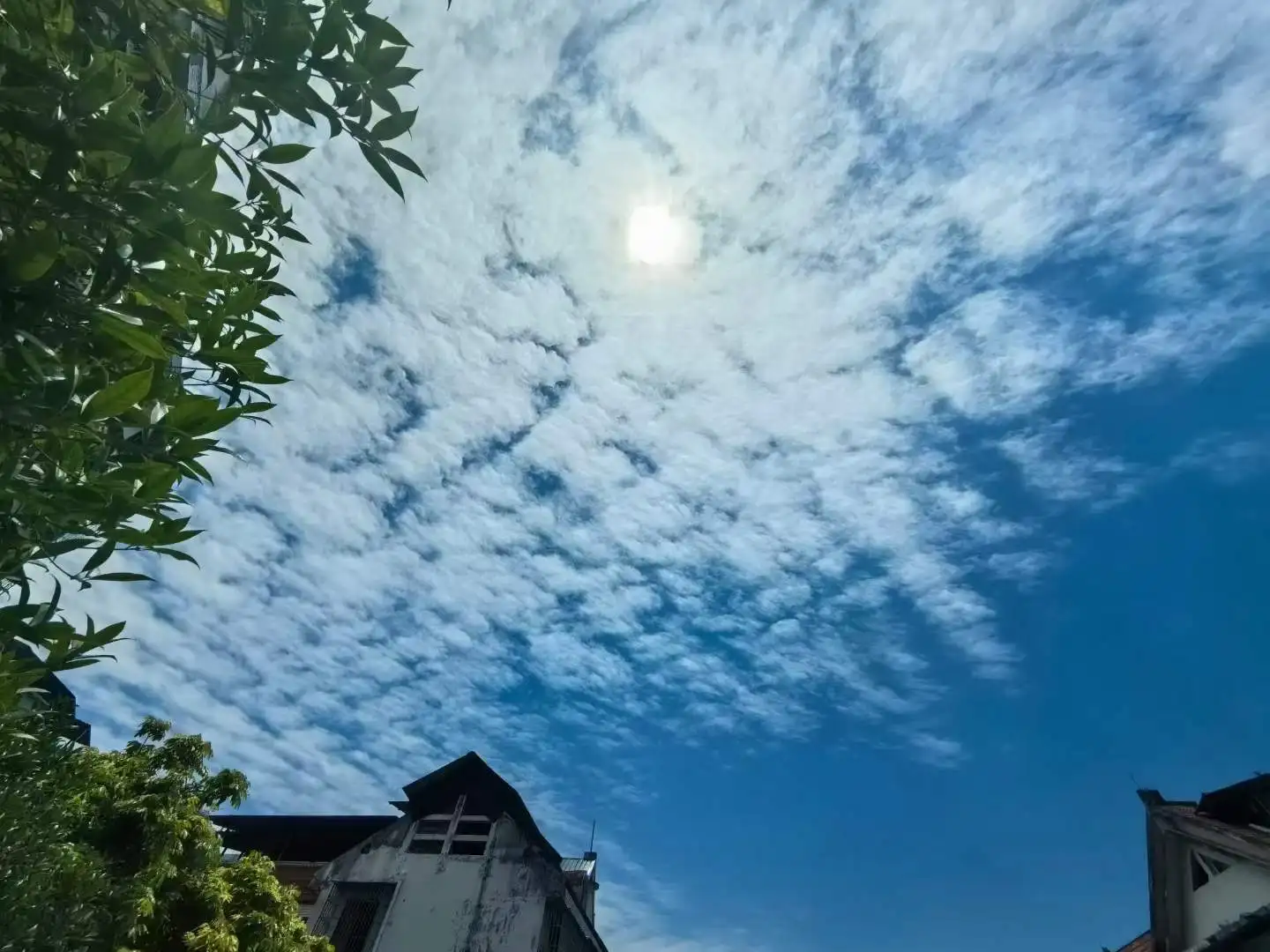 云阳随拍，蓝蓝的天空白云飘！