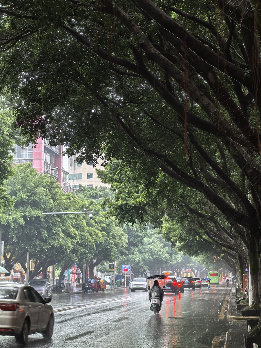 云阳中环路雨中随拍！2024年10月10日云阳