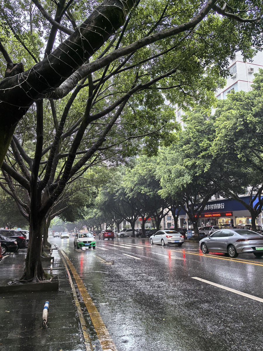 云阳中环路雨中随拍！2024年10月10日云阳