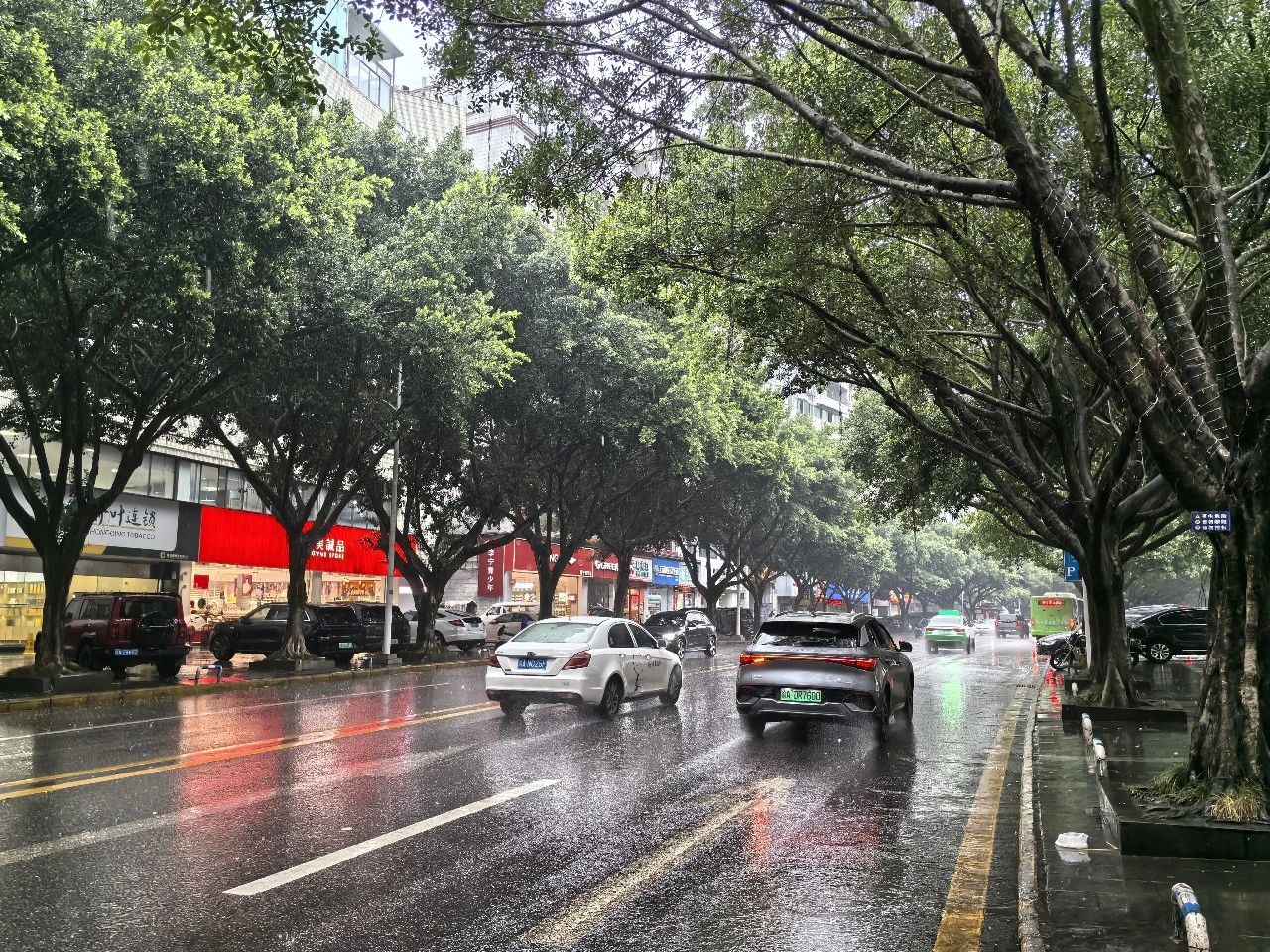 云阳又飘了一天毛毛雨~~我在雨中又有了一点新感悟~