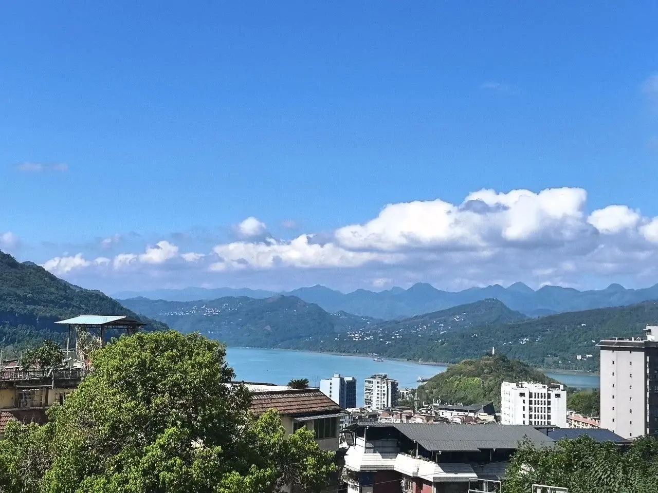 今天，我在云阳碰到了一只蜗牛，一点小感想！
