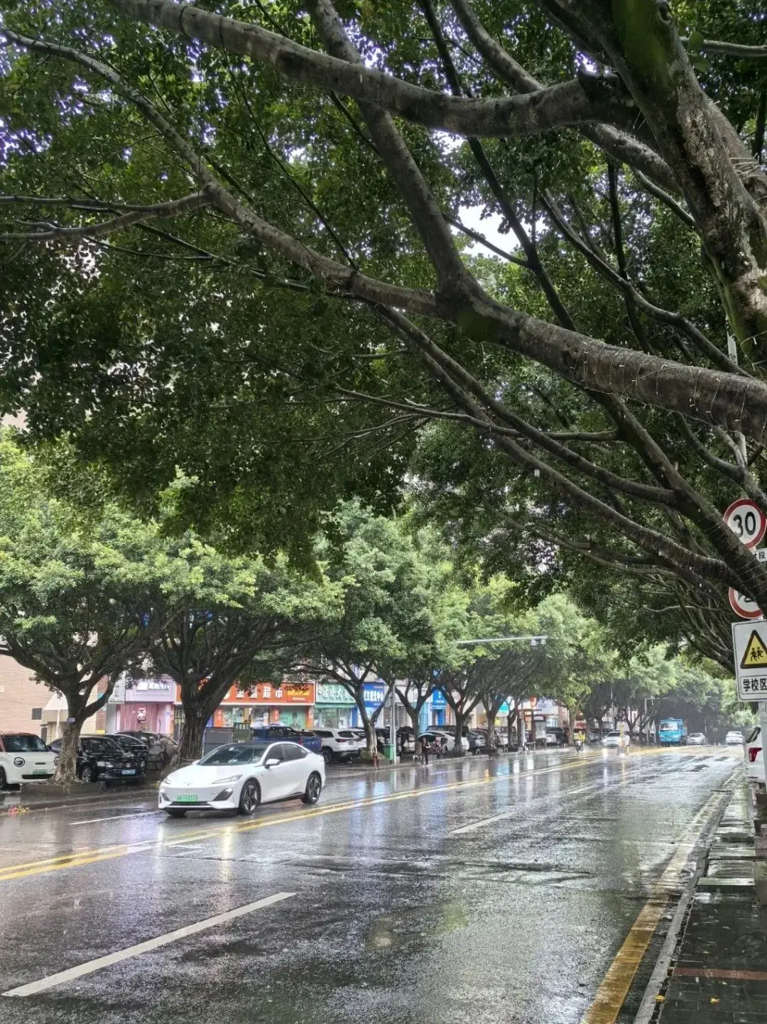 云阳又下雨了，雨后随拍！