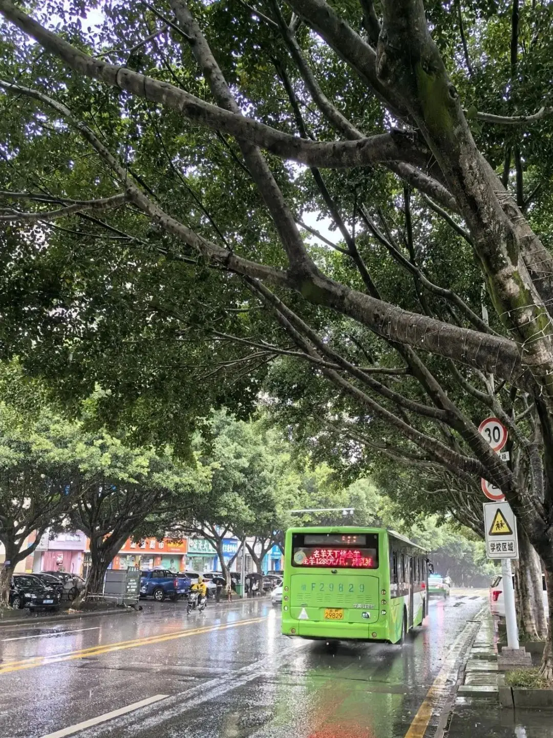 云阳又下雨了，雨后随拍！