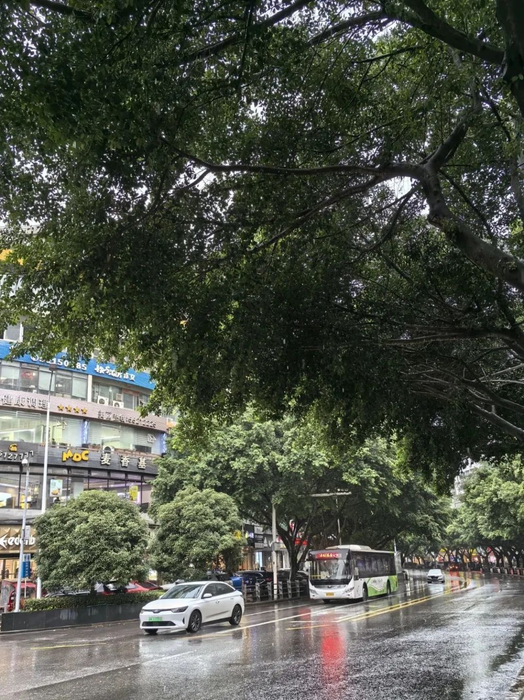 云阳又下雨了，雨后随拍！