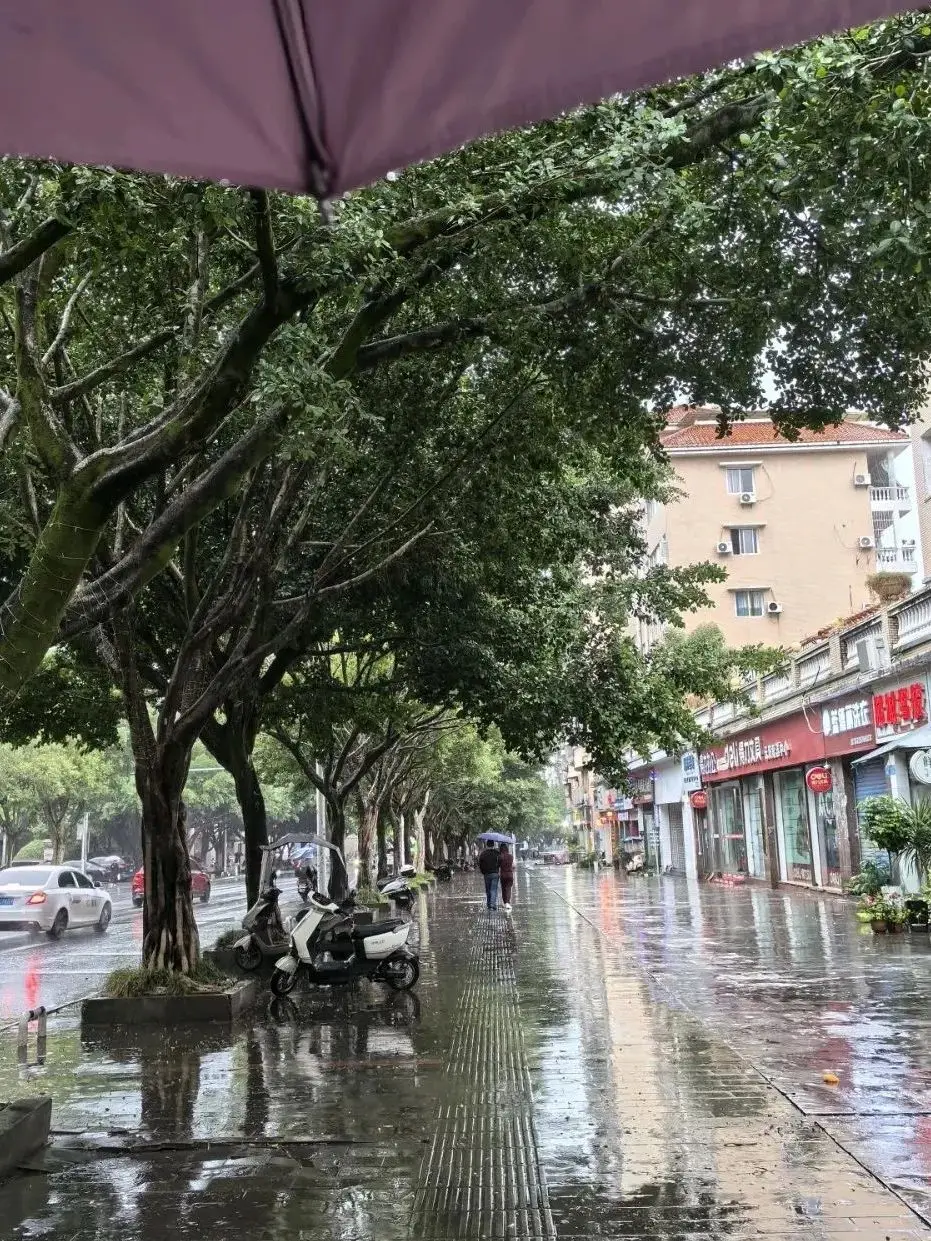 云阳又下雨了，雨后随拍！