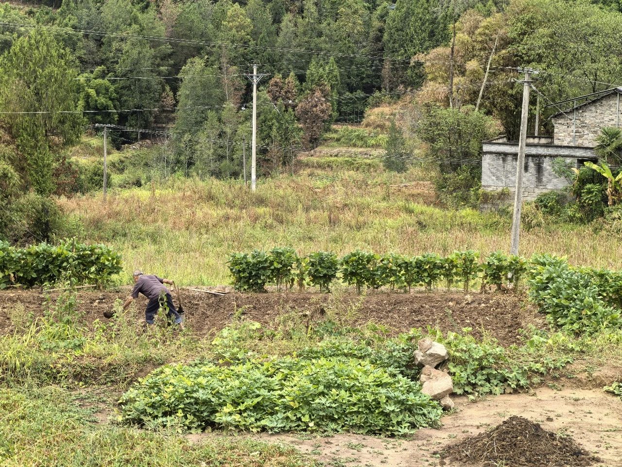 回不去的故乡，挥不去的乡愁！