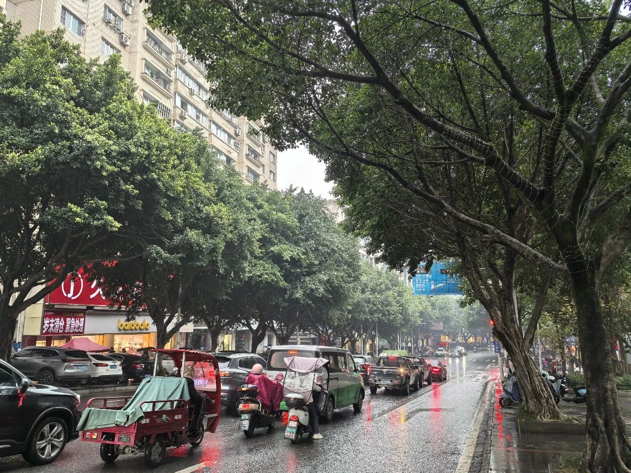 云阳的雨：一场冬日的沉思