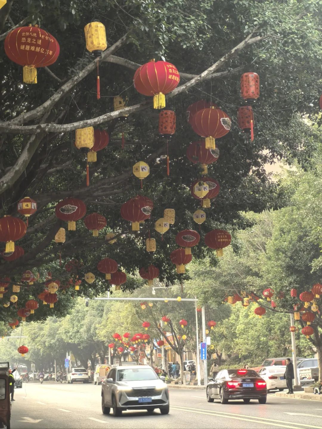 年味渐浓！云阳大红灯笼🏮高高挂，又要回家过年啦！