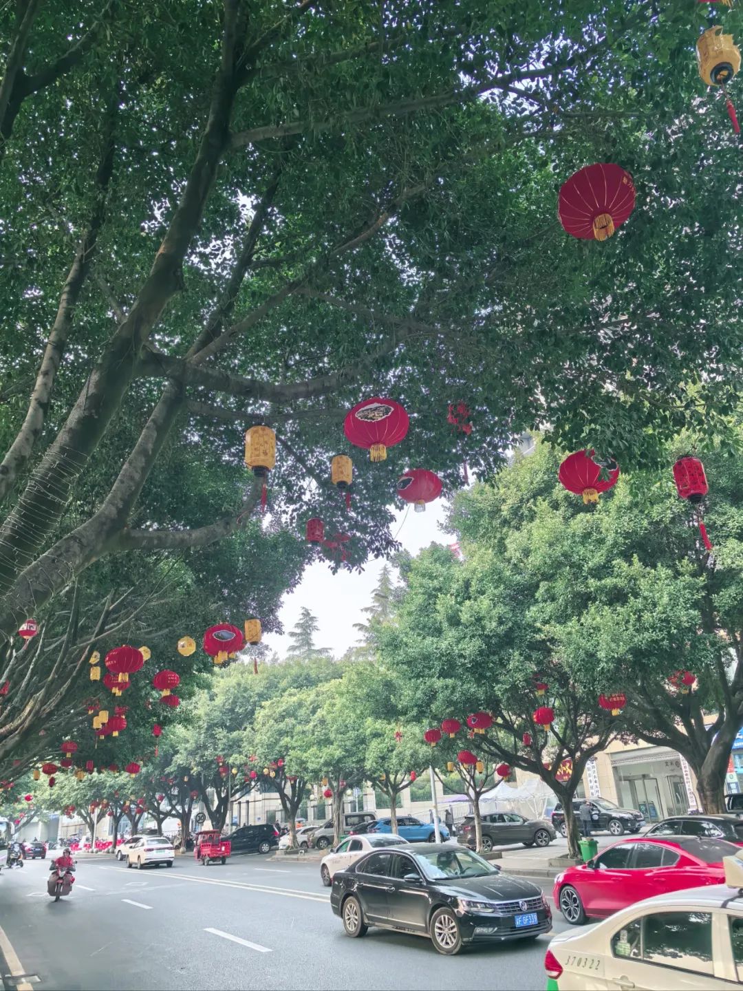 年味渐浓！云阳大红灯笼🏮高高挂，又要回家过年啦！