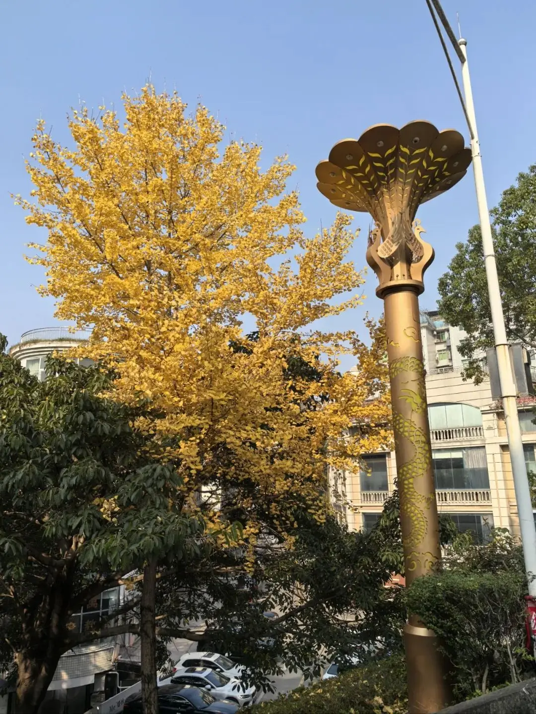 云阳群益广场上午11:00随拍！太阳出来喜洋洋
