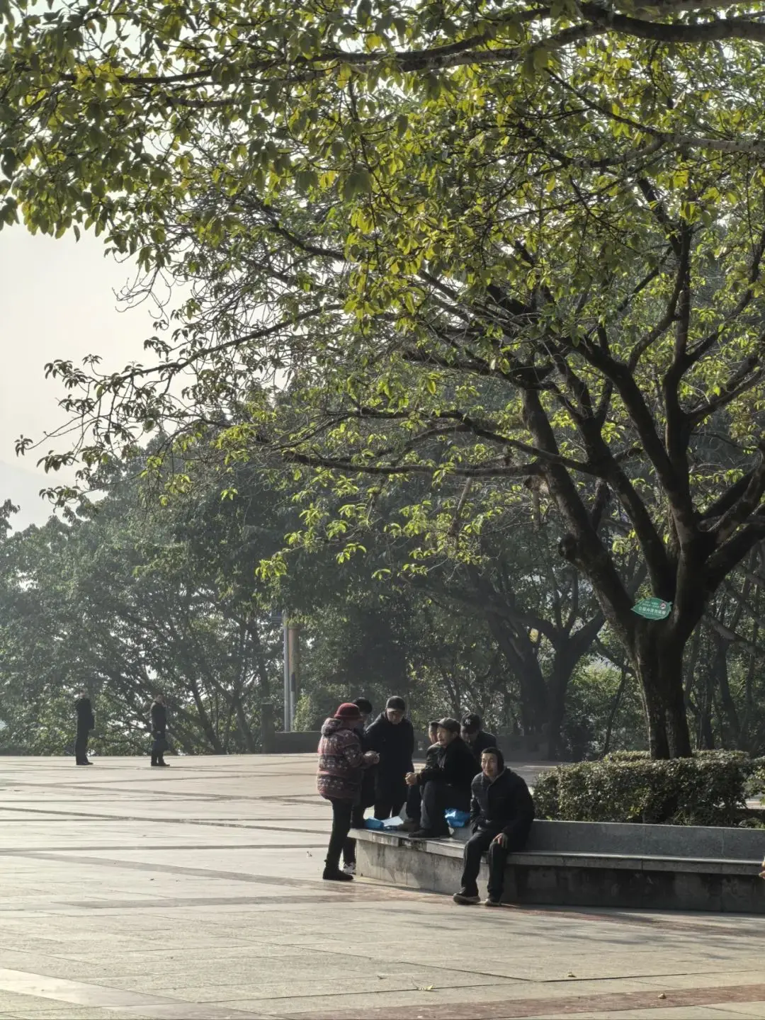 云阳群益广场上午11:00随拍！太阳出来喜洋洋