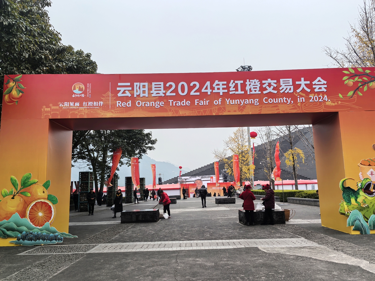 2024年云阳红橙交易大会，现场随拍01