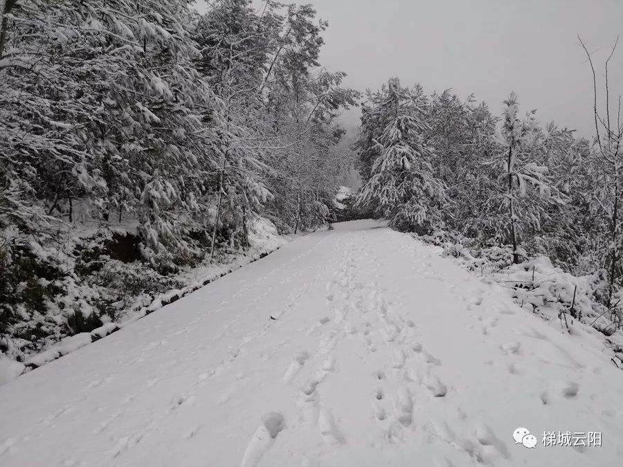 云阳耍雪的地方有哪些？云阳人一般都去哪些地方耍雪？