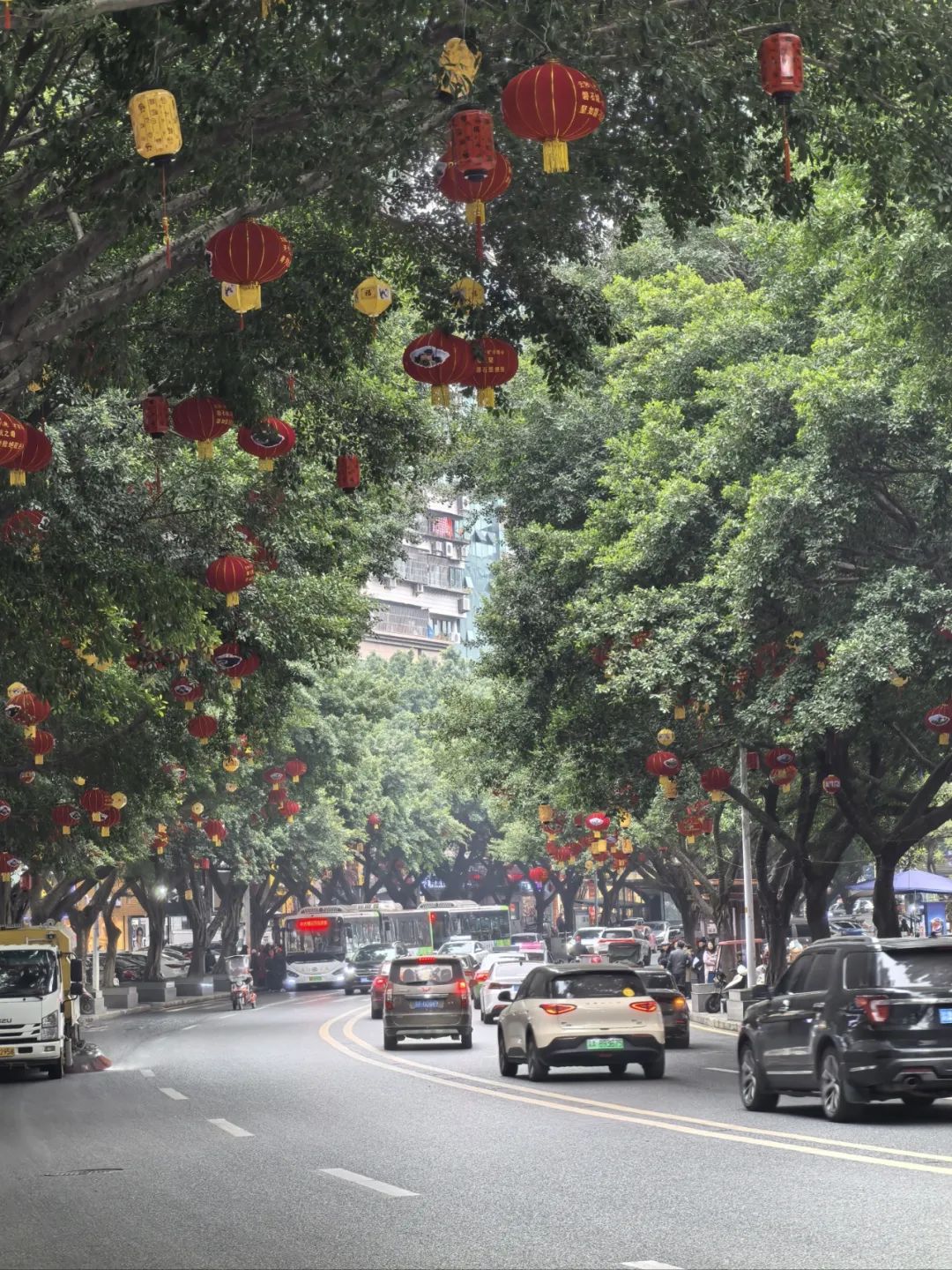 🏮再过两周，云阳又要热闹起来了！