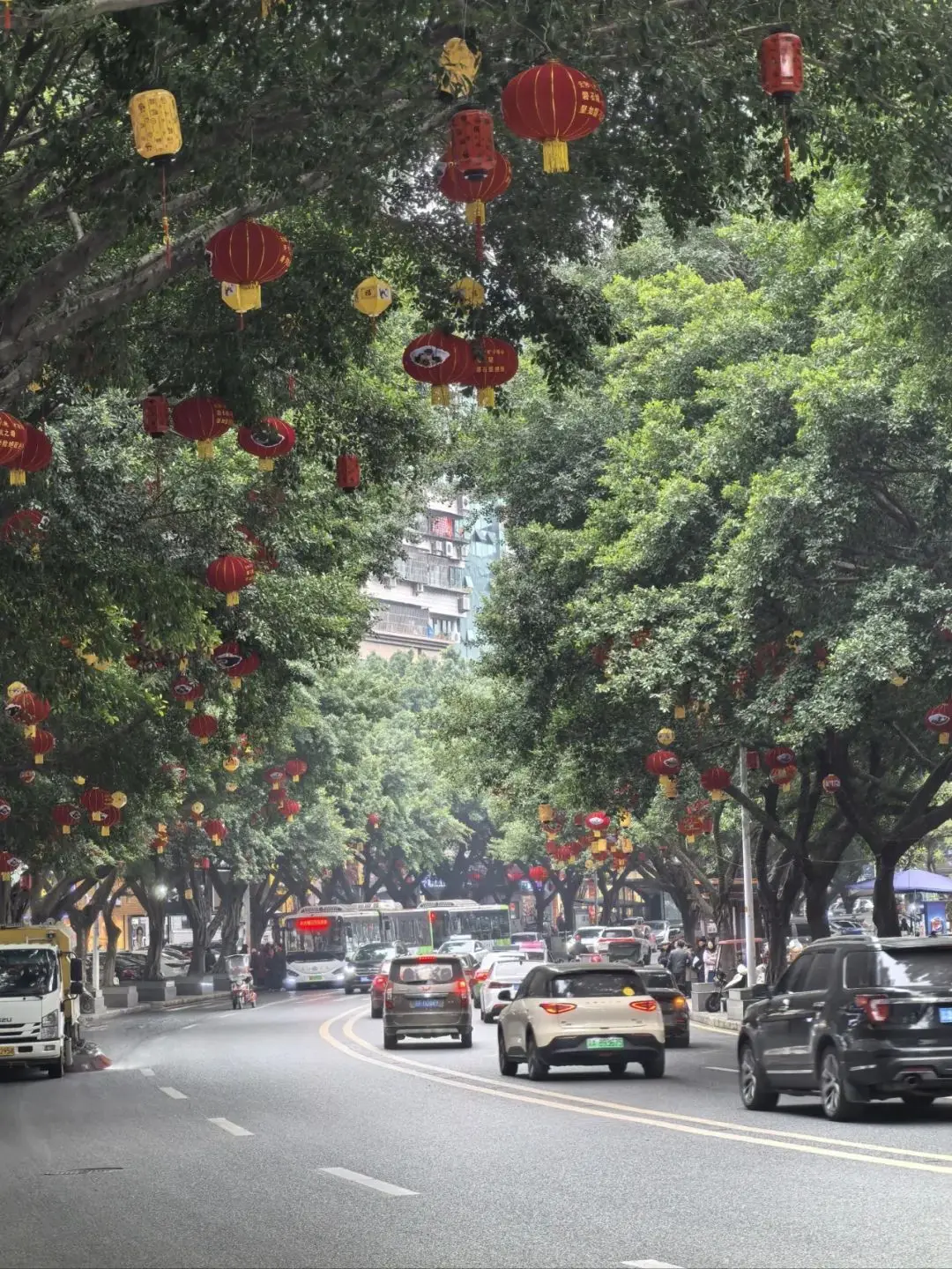 🏮再过两周，云阳又要热闹起来了！