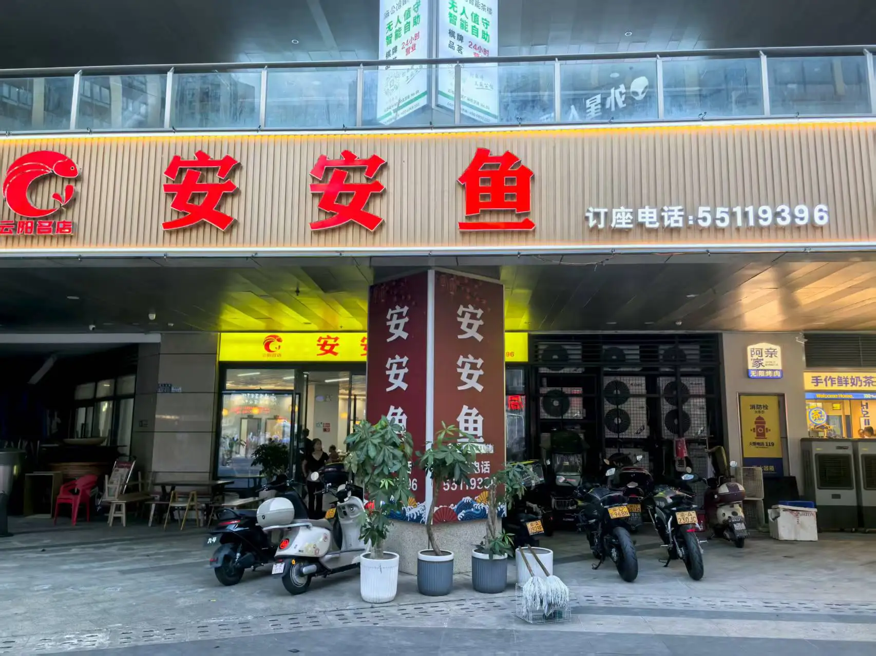 云阳安安鱼