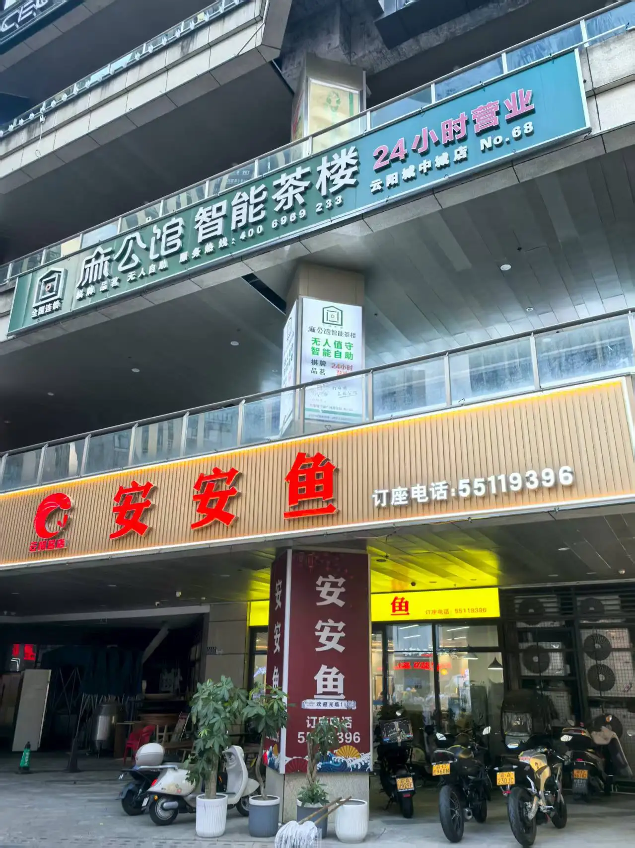 云阳安安鱼