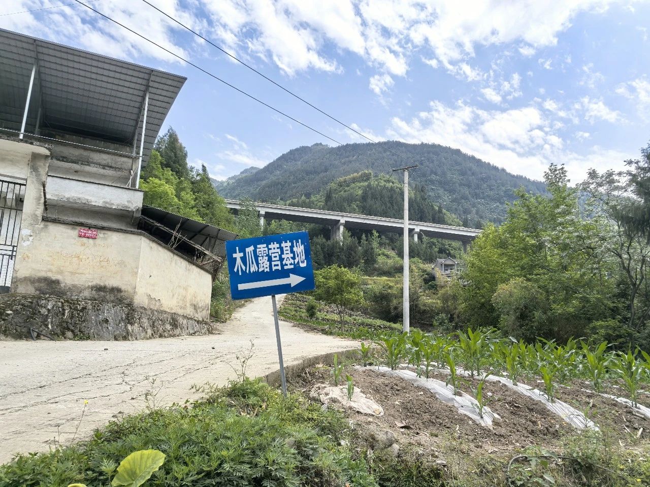鱼泉镇·木瓜村露营基地